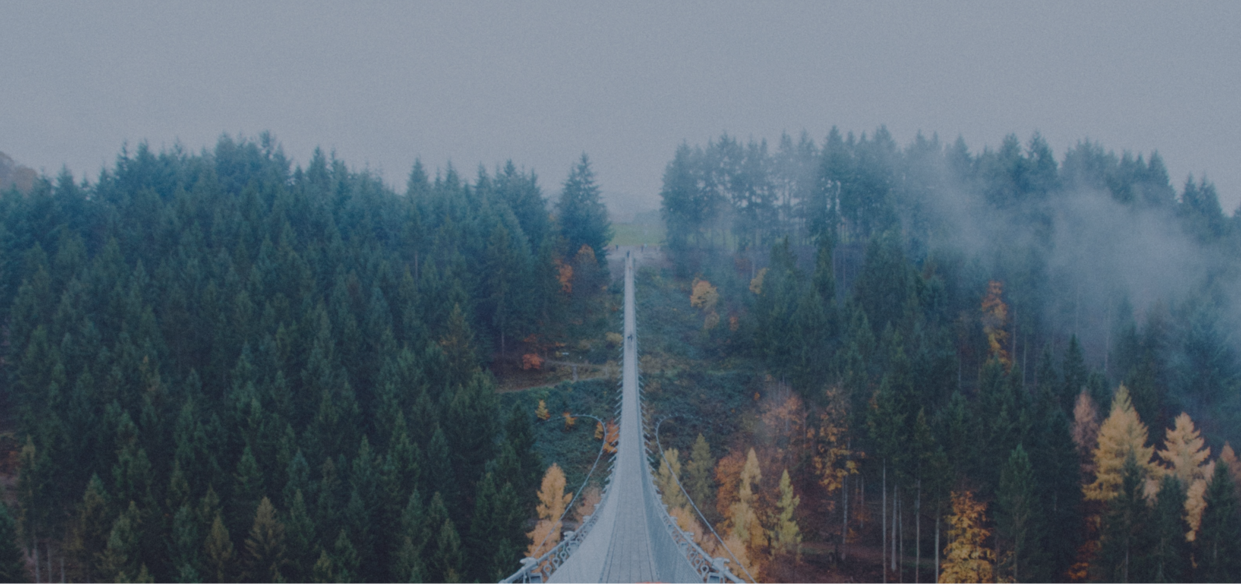 How to Find Your Purpose and Calling