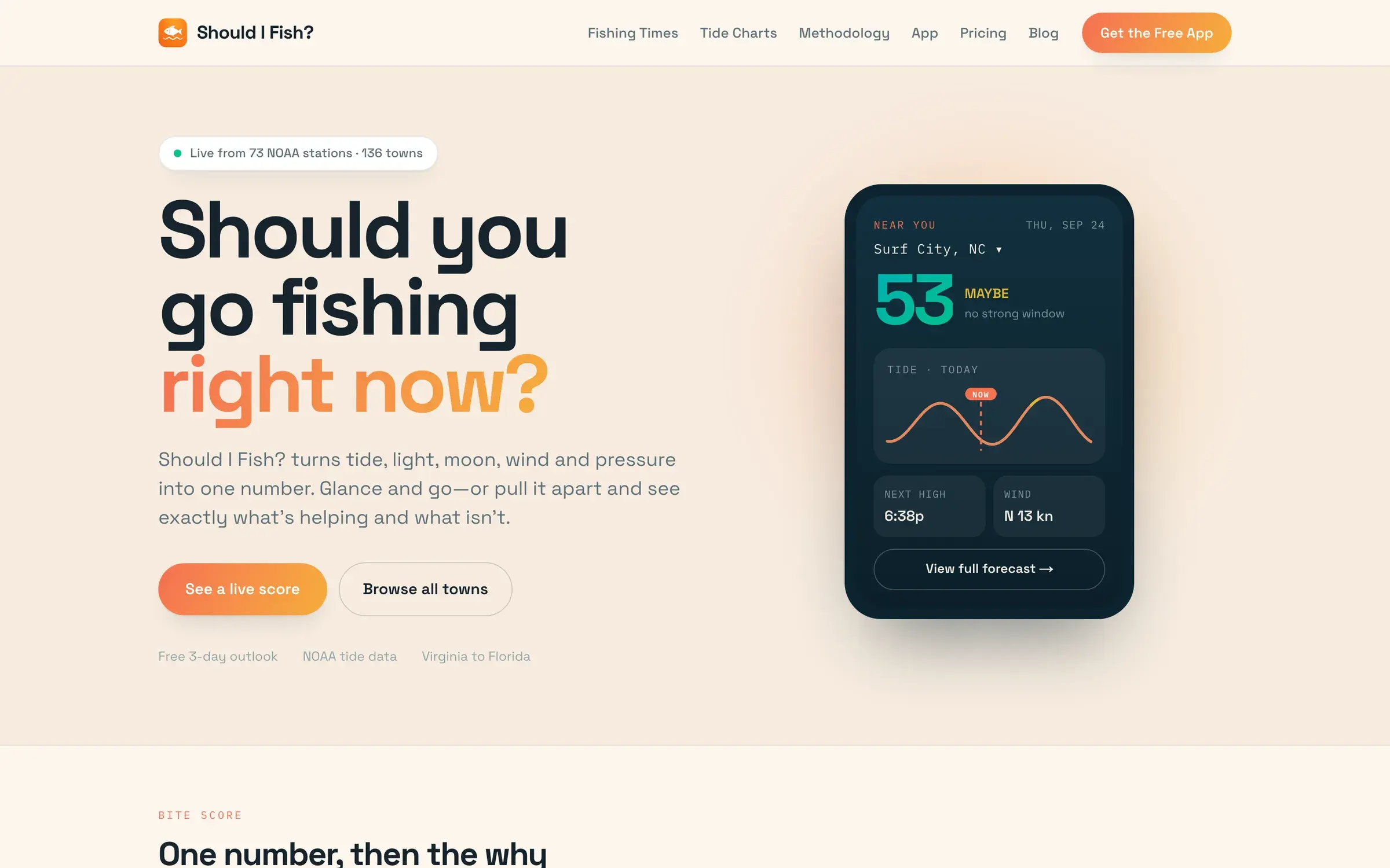 Should I Fish? website, above the fold